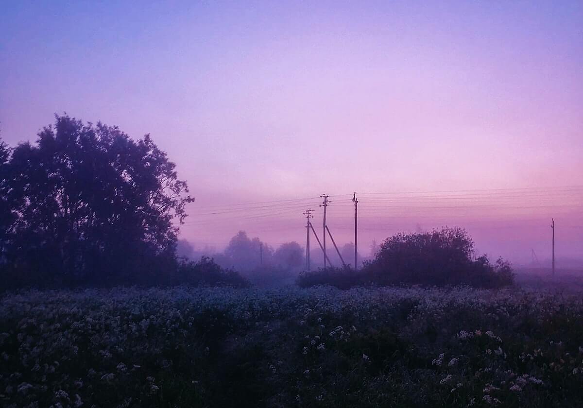 开云平台——开启企业数字化转型新纪元